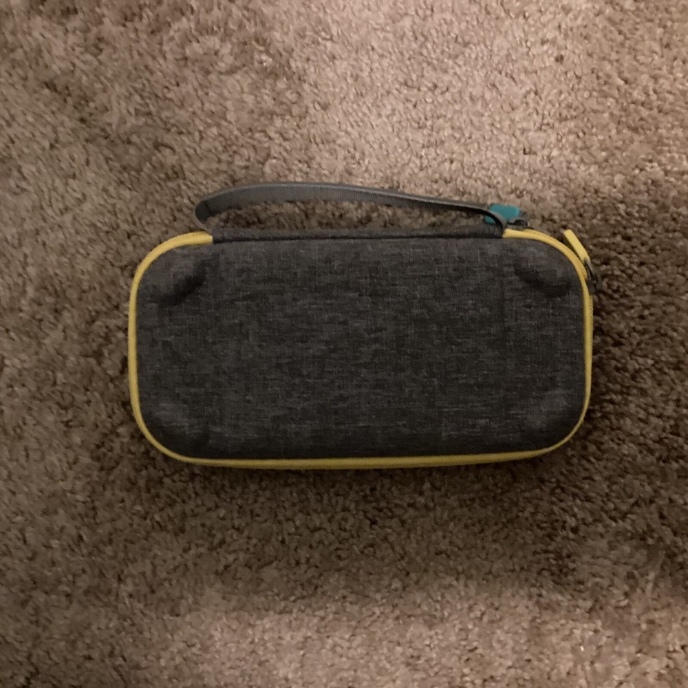 Nintendo Case