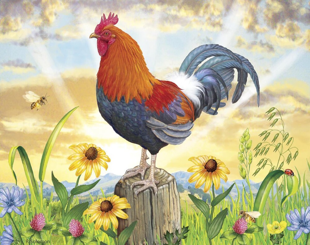 Ceramic Tile Mural Kitchen Backsplash - Rooster at Dawn-RS - Farm Animals