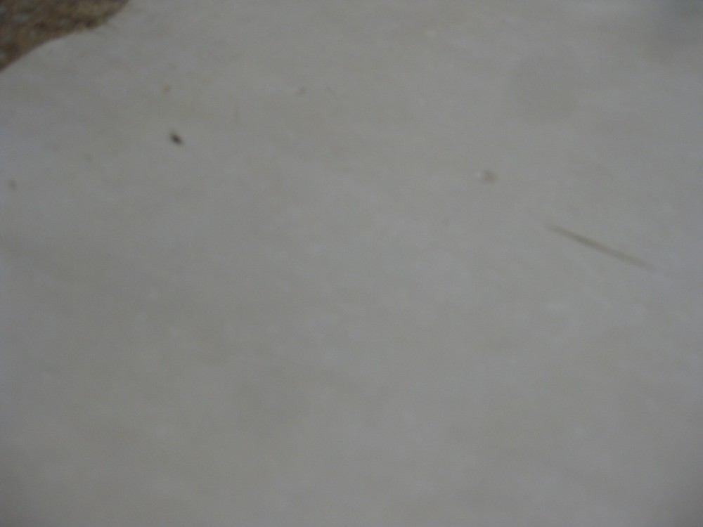 Nubuck Deer Leather # 0013620 ROW SS