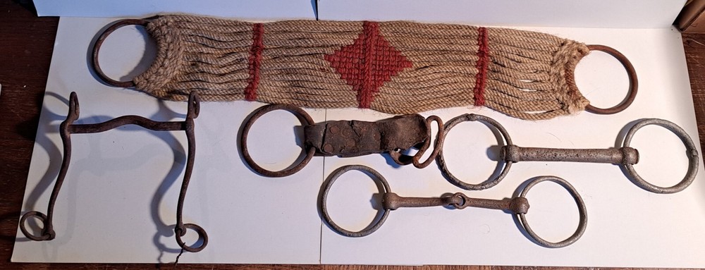 Rustic Western Horse Cowboy Wall Decor Cinch BITS