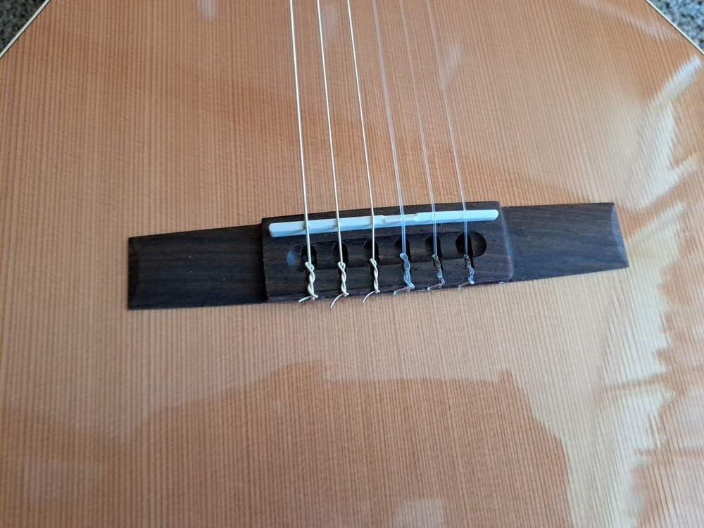Godin Collection Acoustic Classical Guitar, Solid Cedar Top