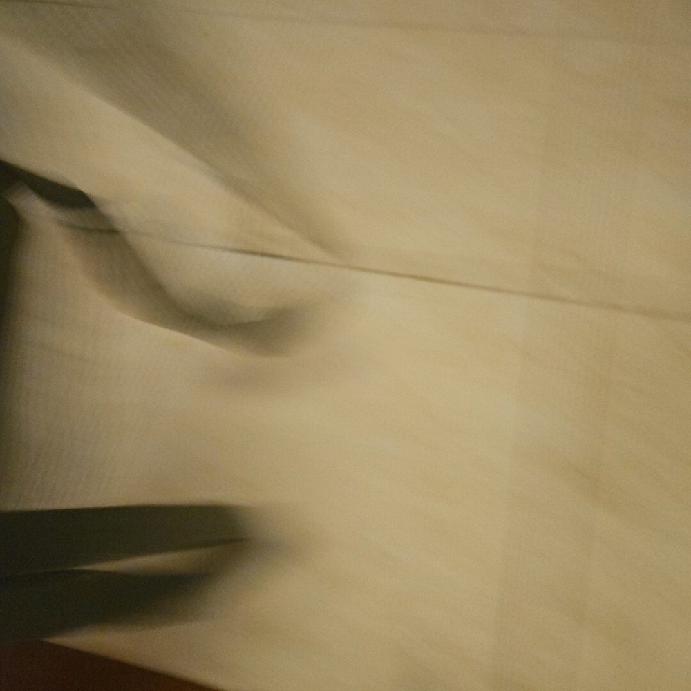 Army Field Protective mask Canvas Bag Only (N9A1)