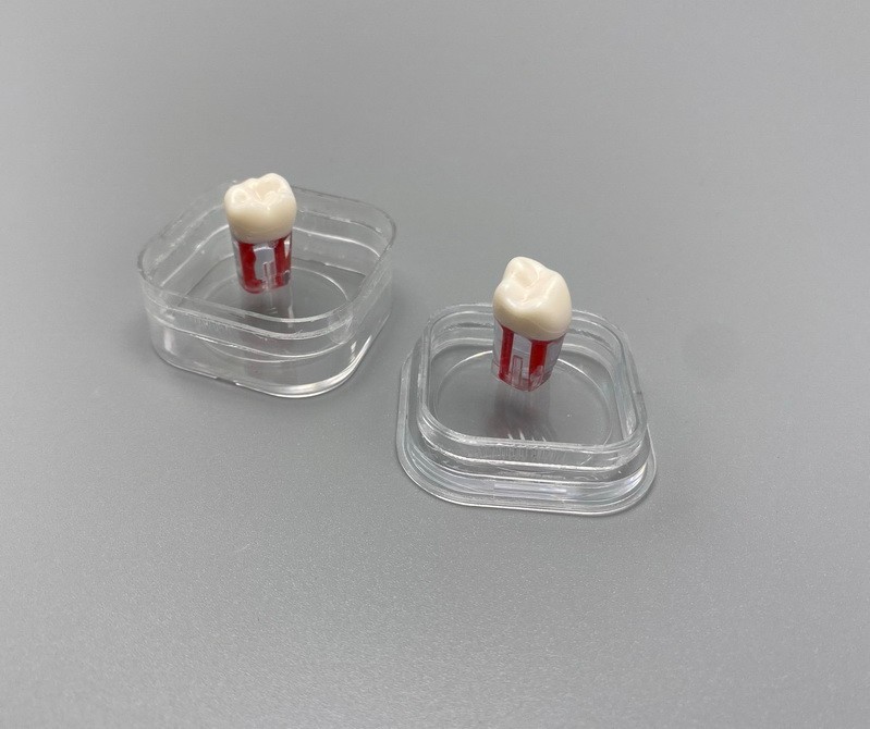 10pcs Dental Denture Hinged Display Box Film Membrane Storage Case 38*38*17mm