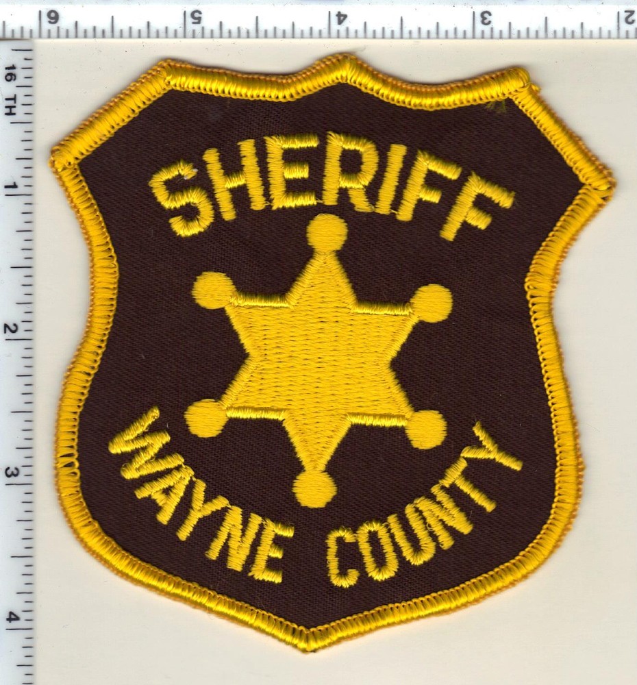 Wayne County Sheriff (Michigan)  Shoulder Patch  from 1989