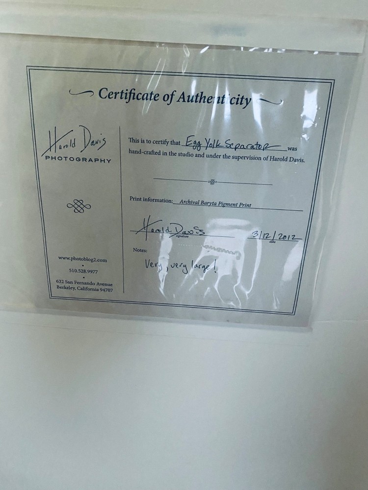 Harold Davis Art work