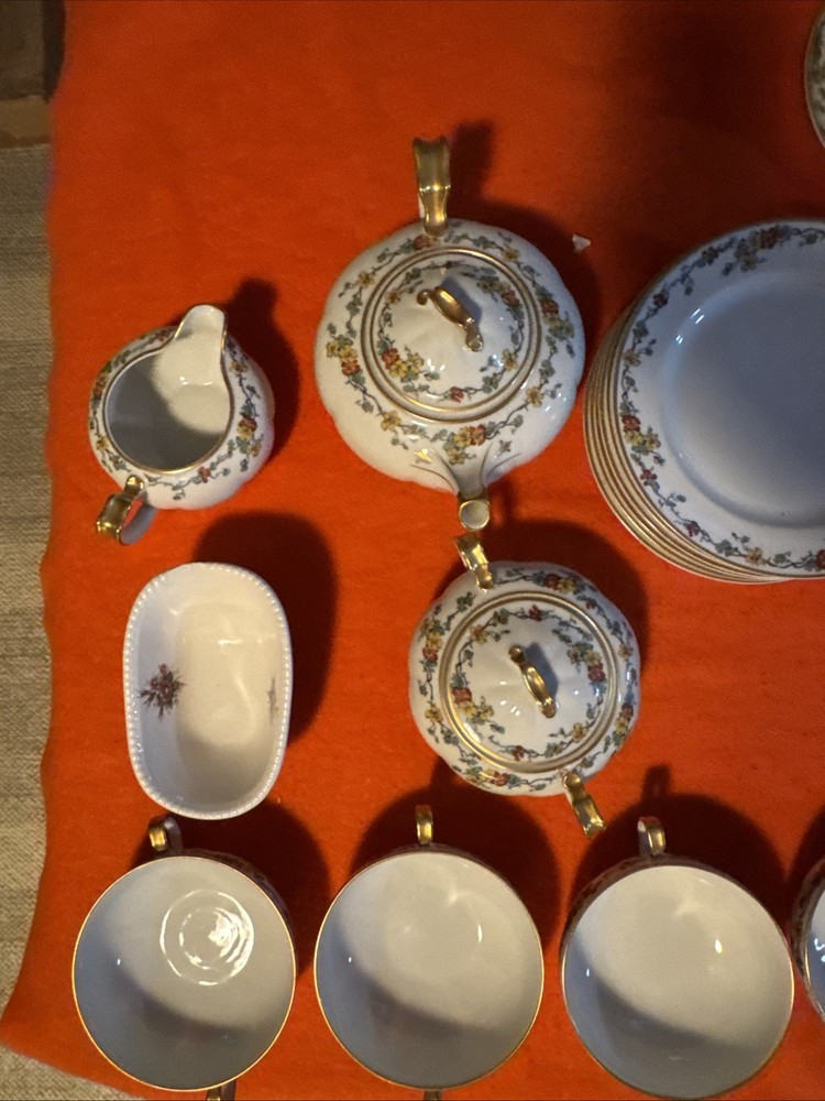 Vintage Limoges Nasturtium China Set