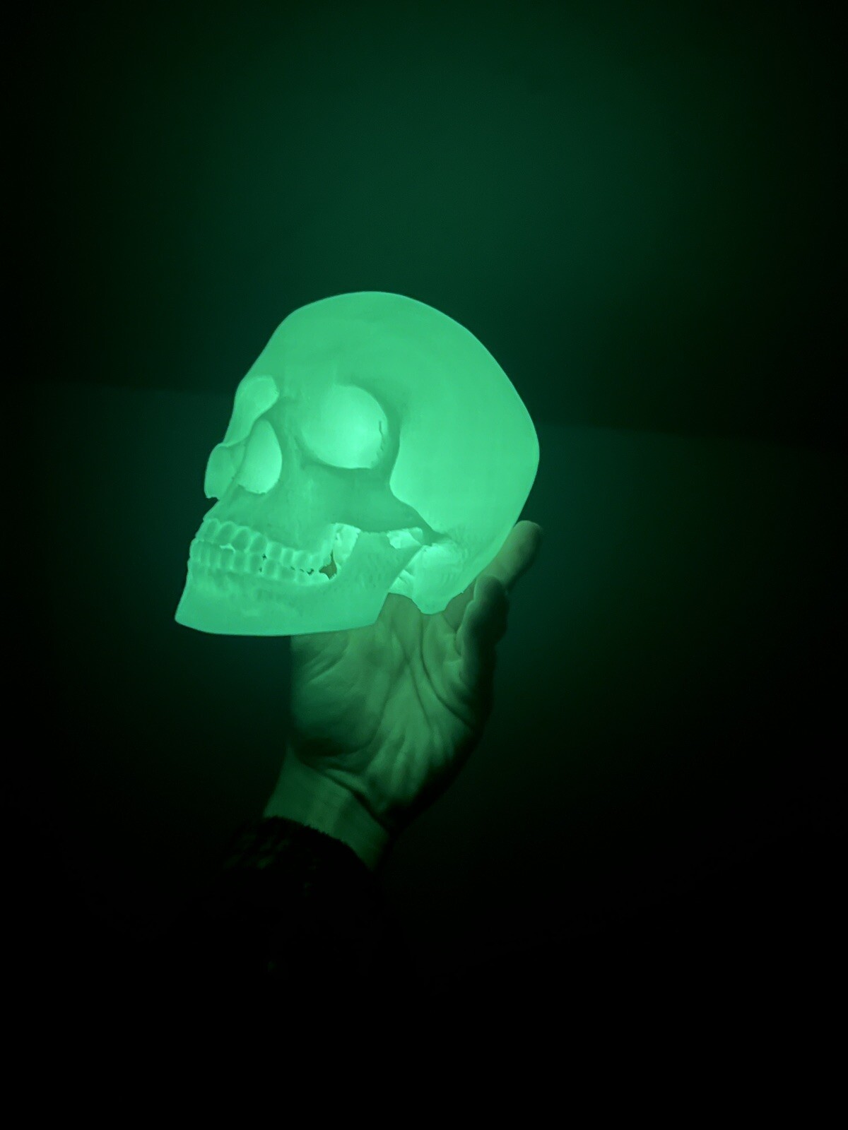 Glow In the Dark Human Skull! (Good Quality:3DP:White-PLA) GREEN OR BLUE GLOW!