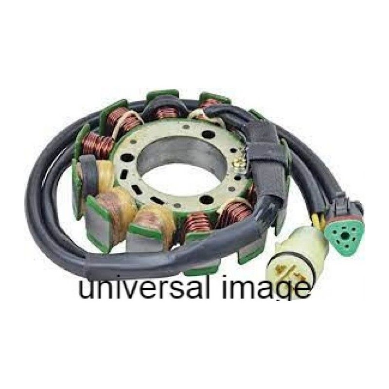 Wild Boar Charging Stator - 340-22017