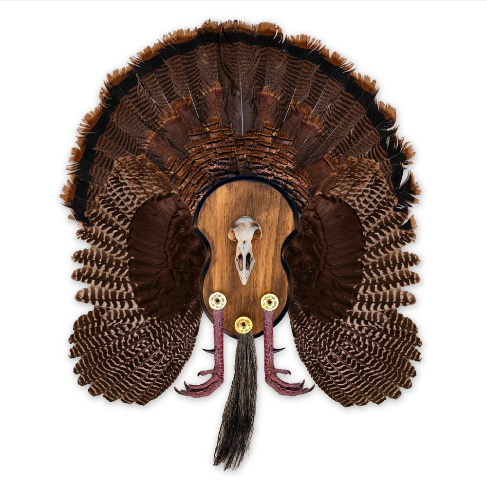 Turkey Mounting Kit - Rustic Wall Display Plaque with European Skull - Universal