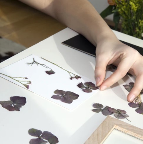 Kikkerland Flower Press Frame Kit