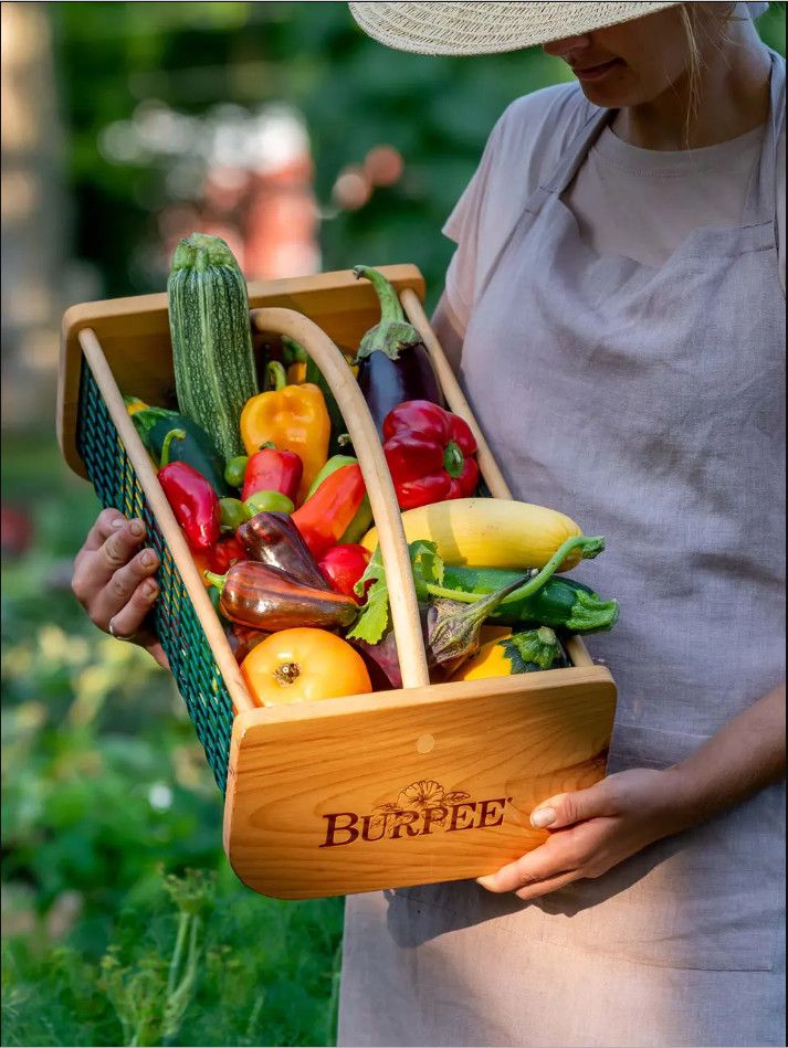 Burpee's Garden Hod