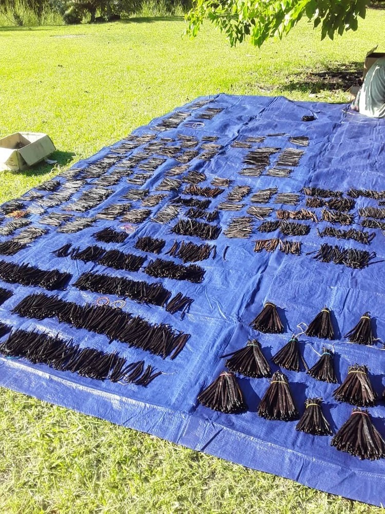 15 x Tahitian Vanilla Beans , Organic