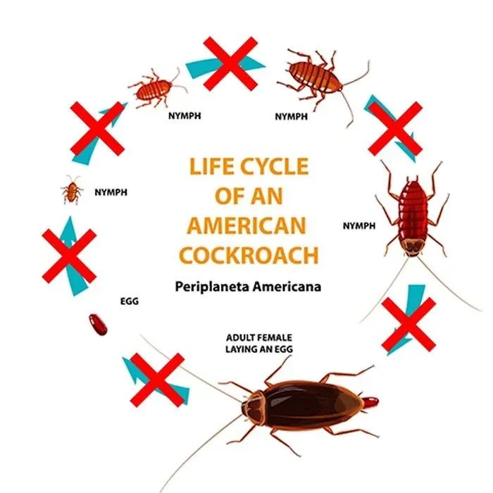 Gentrol Point Source Insect Growth Regulator Roach Control