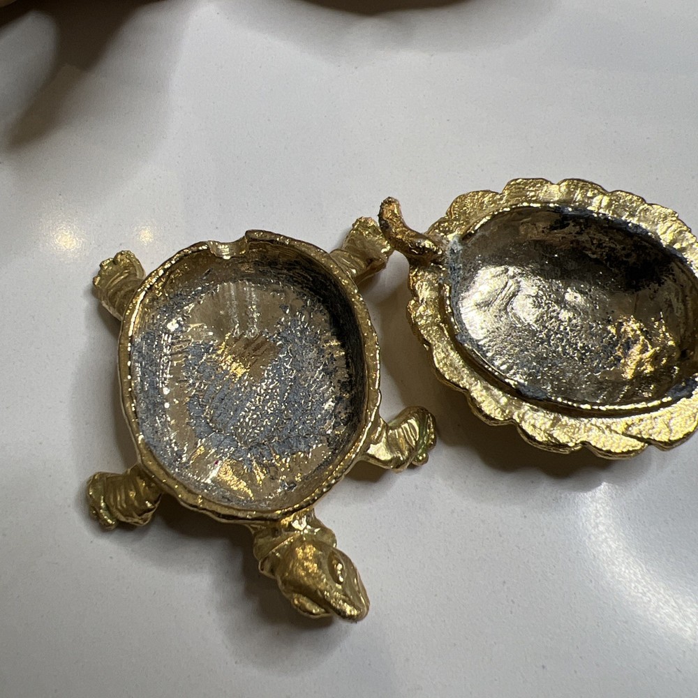 Turtles 5 Pieces Sea Turtles