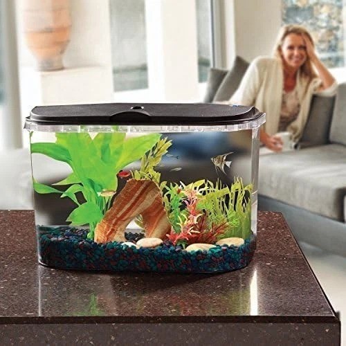 PanaView 5-Gallon Aquarium Kit with LED Lighting