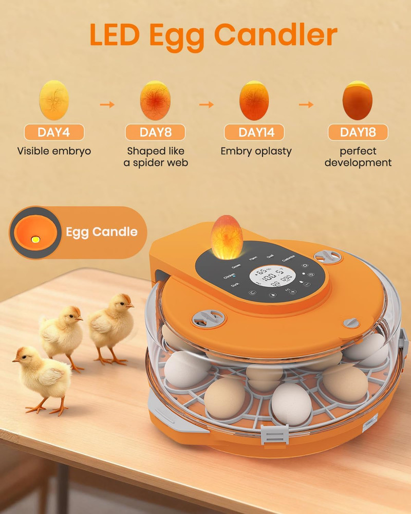 Incubators for Hatching Eggs,15 Egg Incubator with Automatic Egg Turner,Temperat