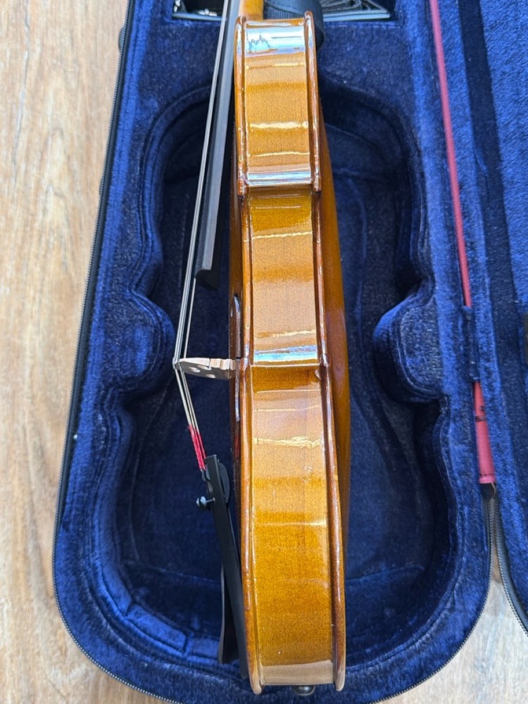 STENTOR VIOLIN STUDENT II (SBL016025)