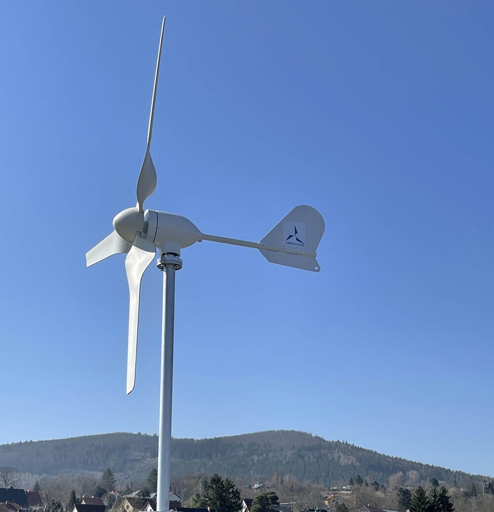 1000W 12V 24V Wind Turbine Horizontal Wind Power Generator With MPPT Controller
