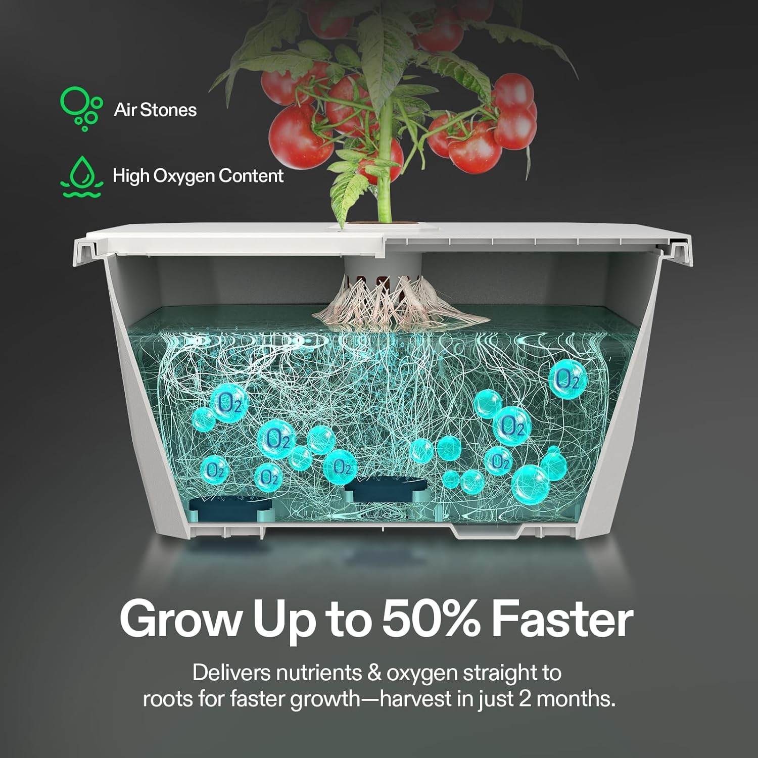 VIVOSUN VGrow DWC Hydroponics System Kit, Only for VGrow Smart Grow Box
