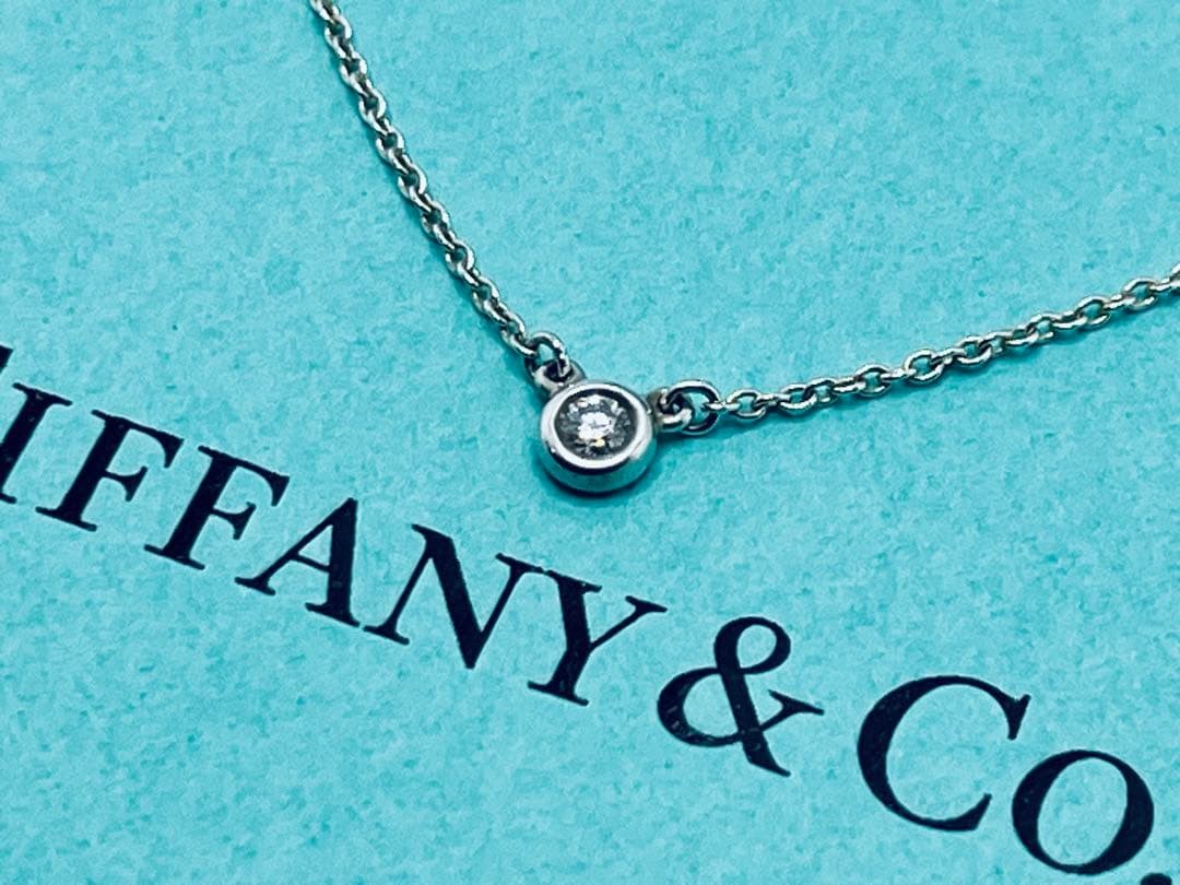 h887 Excellent condition Tiffany & Co. By the Yard diamond necklace, sterling