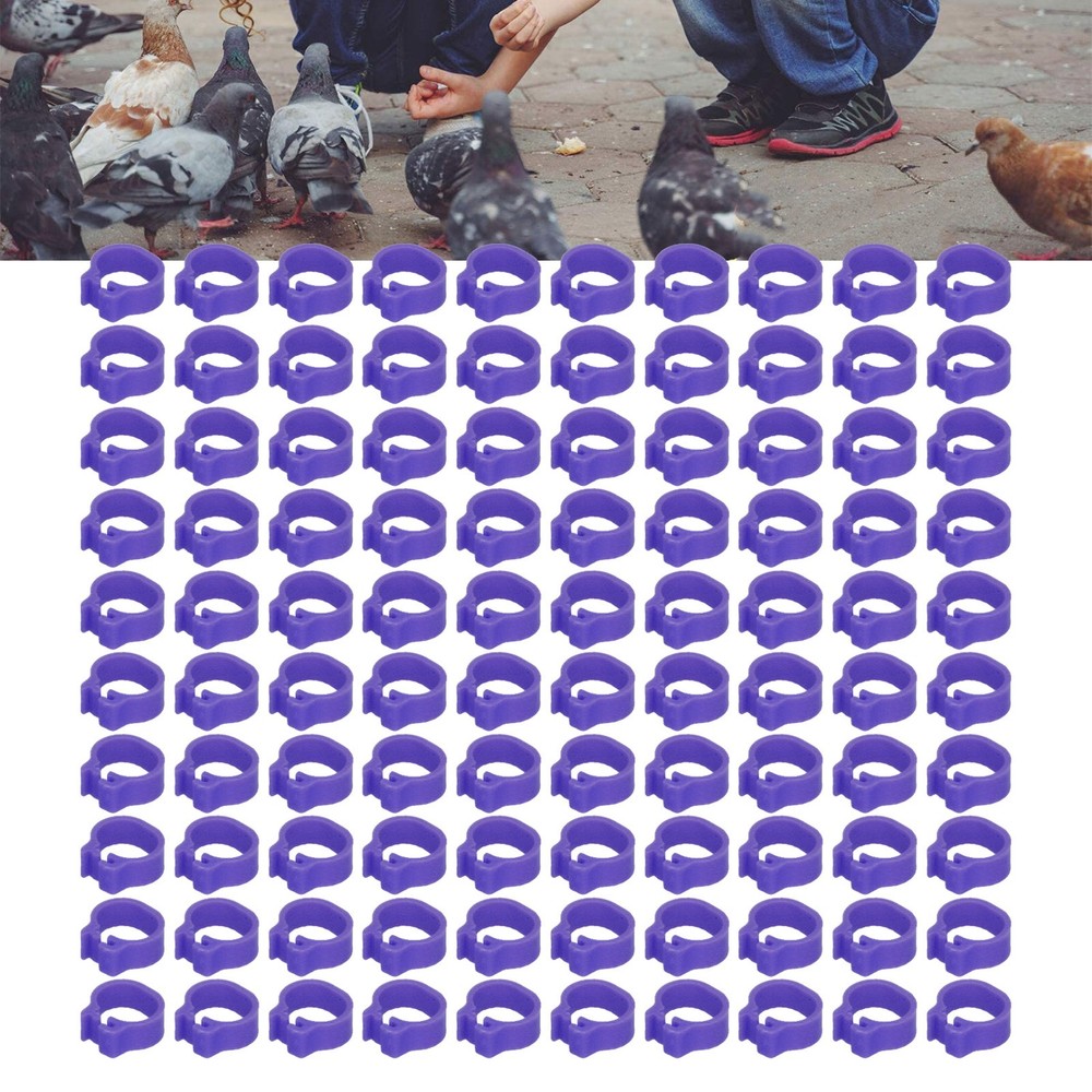 100-Pack 8mm Leg Bands - Identification Purple