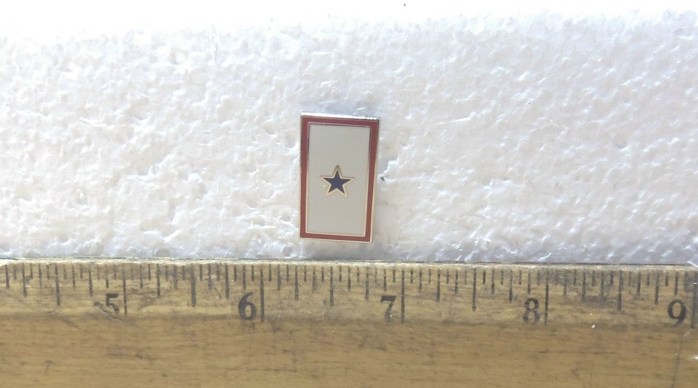 Blue Star Pin