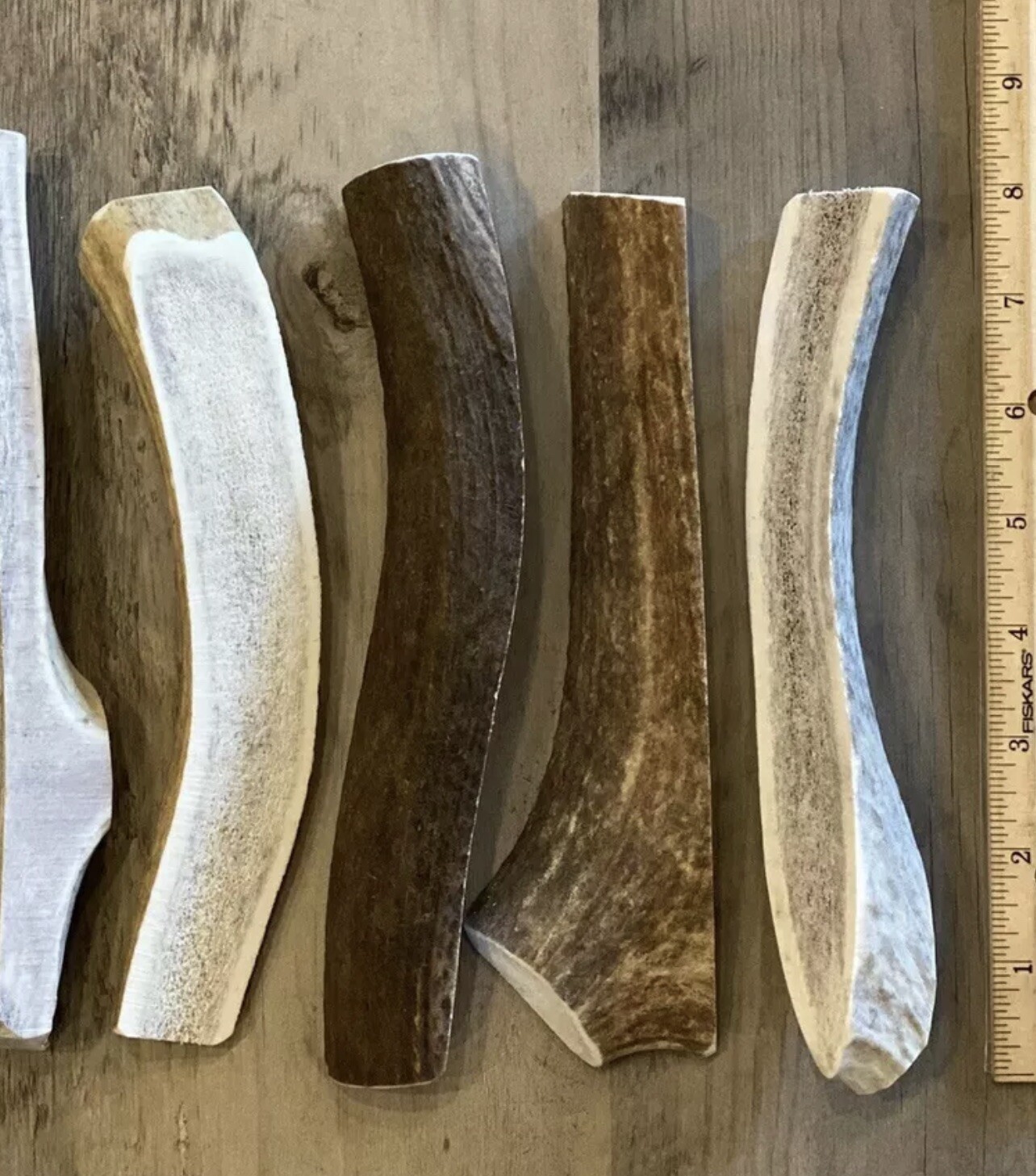 LARGE SPLIT ELK ANTLER Premium Dog Chew 7”+ (1pc) **OREGON ANTLER WORKS**