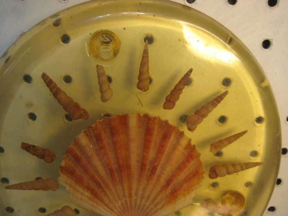 Beach Theme Cast Resin Hot Plate Trivet with Embedded Shells