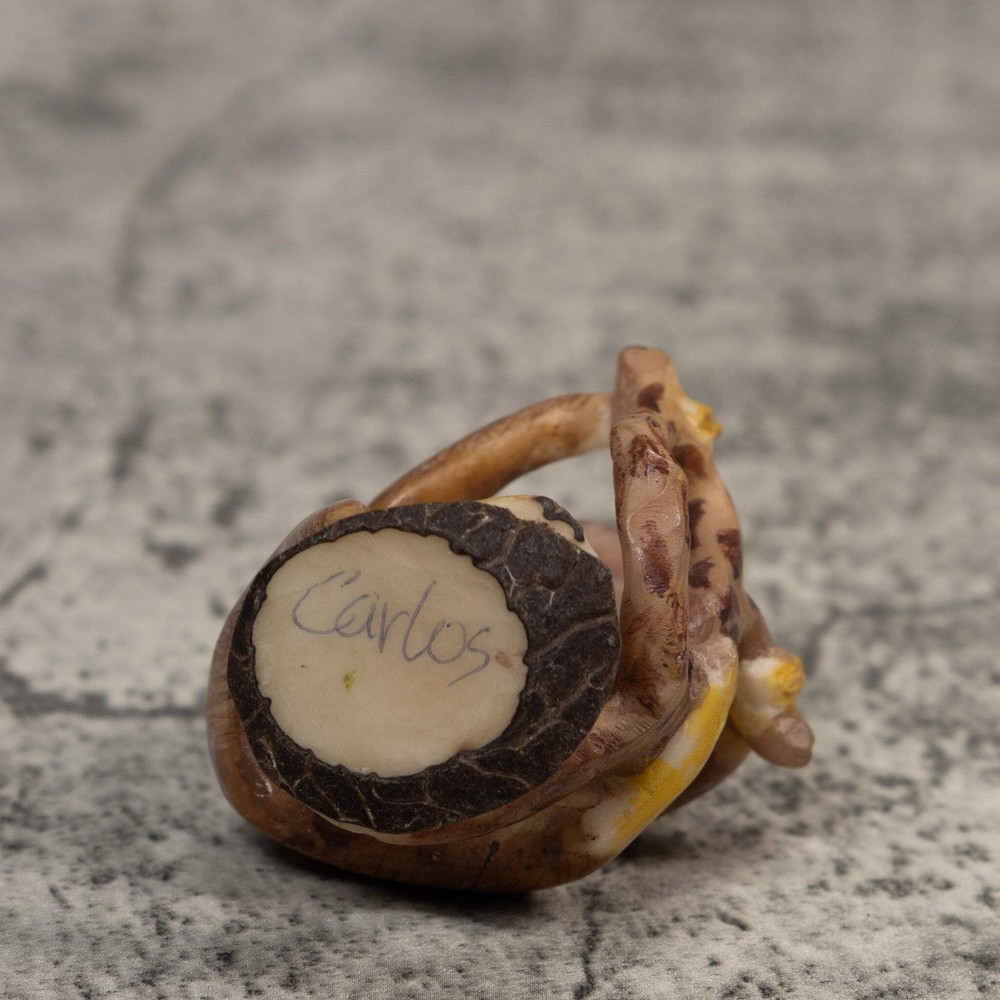Brown Sloth In Tree Tagua Carving