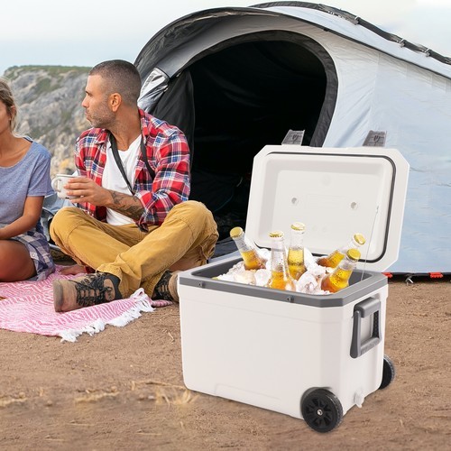 45L Insulated Wheeled Cooler with Pull Handle for Camping & Beach Activities