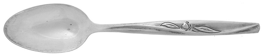 International Silver Autumn  Teaspoon 241729