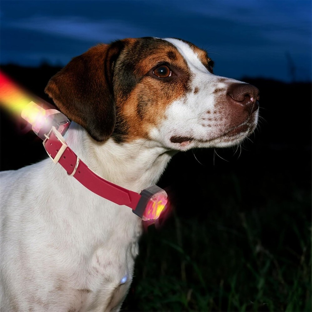 Dual Dog E-Collar Training & Beeper System Waterproof 1 Mile Range Rechargeable