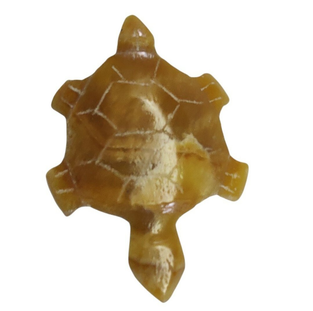 Hand Carved Stone Turtle Brooch Brown