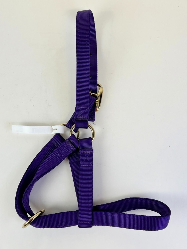 TWO(2) Basic Adjustable Nylon Yearling Halter Purple & Burgundy - Brand New