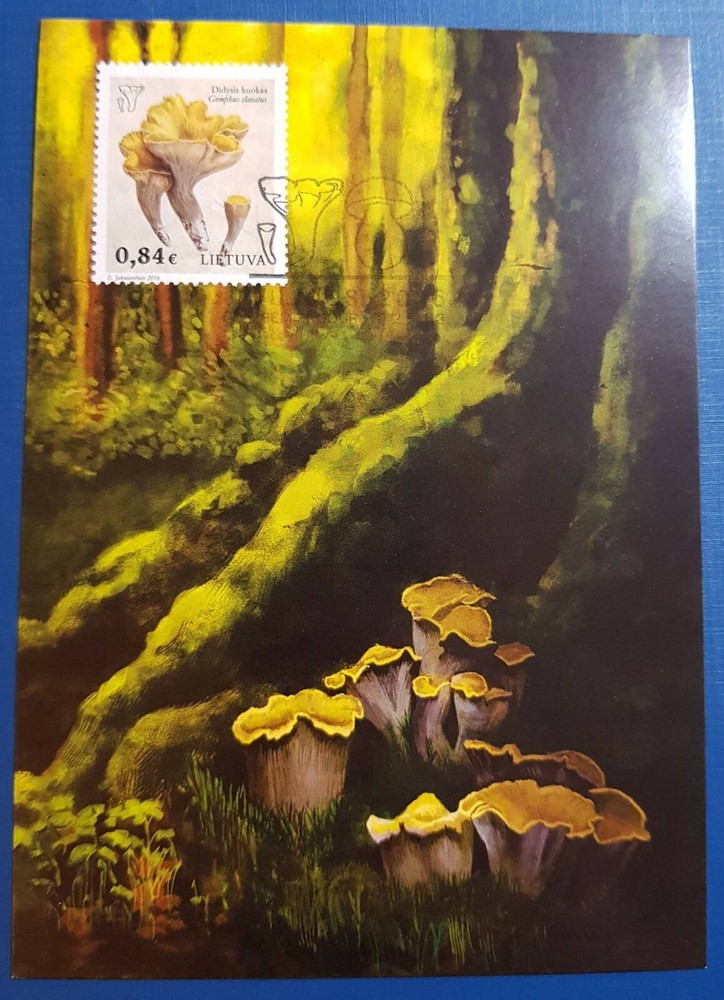 Lithuania 1211-1212 (complete issue) 2016 Mushroom