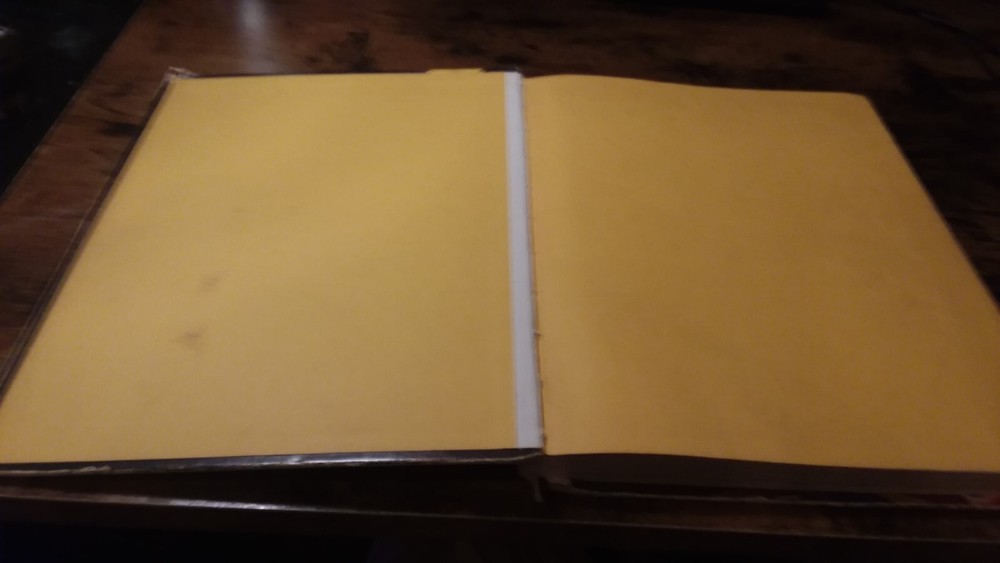 Advanced Dungeons & Dragons Dungeon Masters Guide 6th Alpha AD&D Vintage OOP