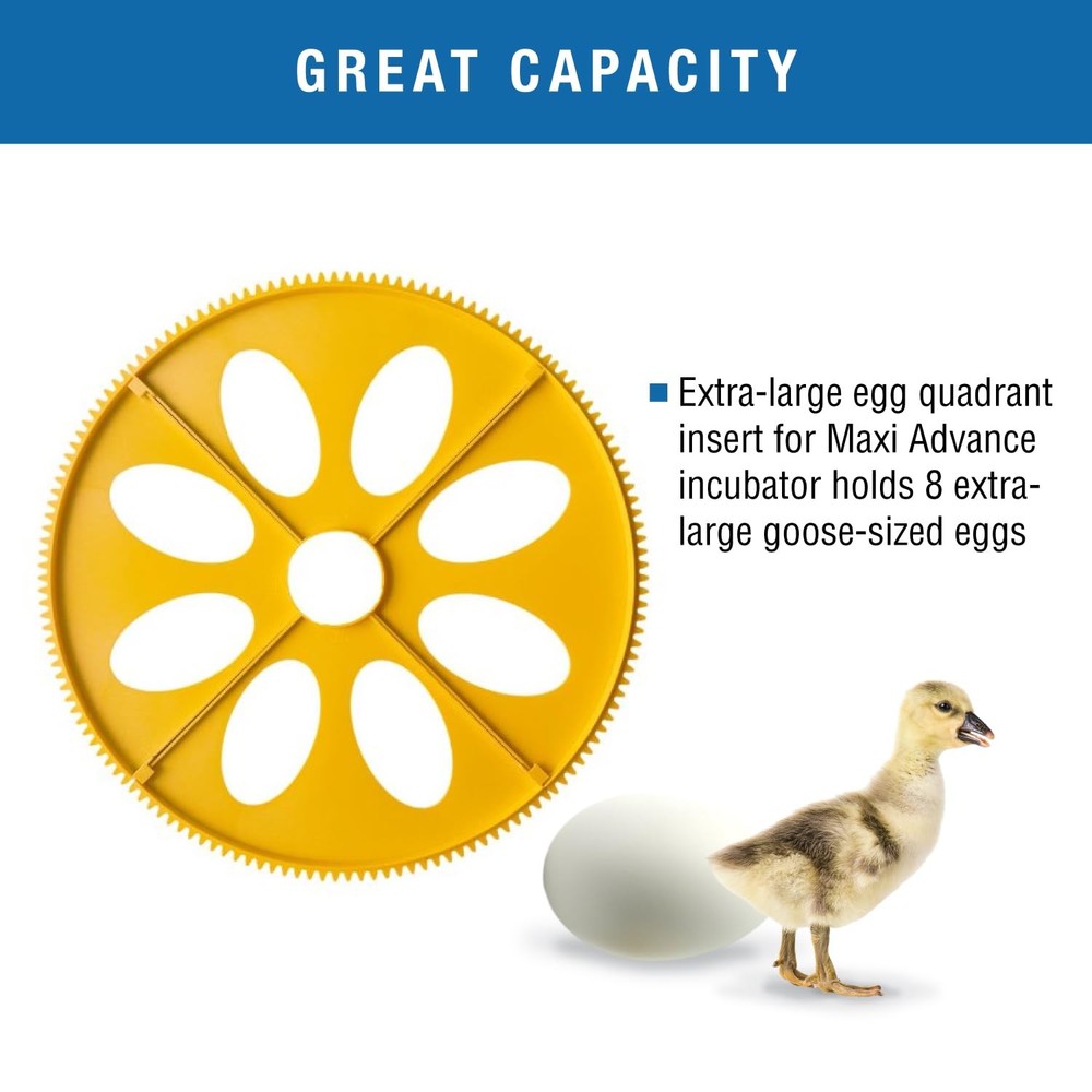 Brinsea Extra Large Egg Quadrant Insert for Maxi Advance Fits 8 Eggs, Yellow