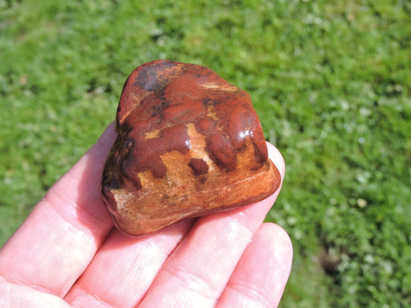 Lot of 🌈 Tumbler Size RAINBOW MIXED STONES from PNW (11.5 lbs) WEST COAST ROCKS