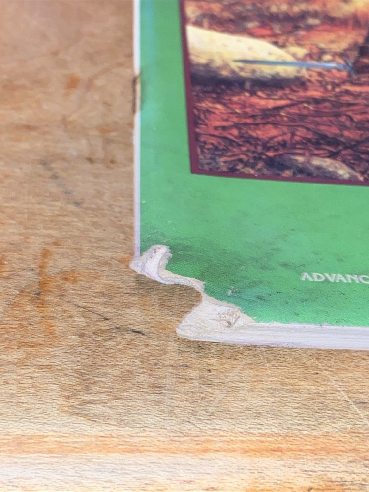 REF2 PLAYER CHARACTER RECORD SHEETS DUNGEONS & DRAGONS AD&D TSR 9028 - 1