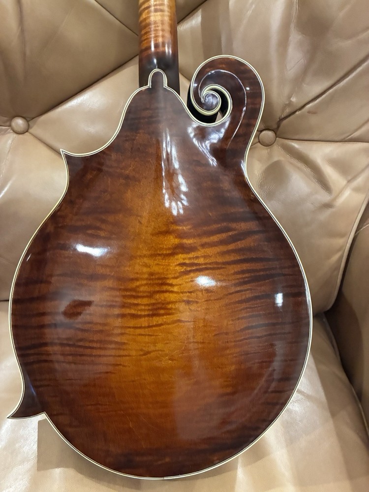 Doozy F Style Mandolin