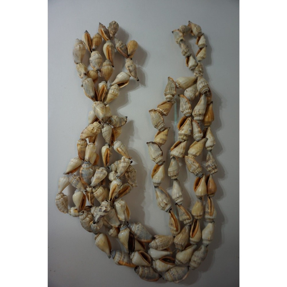 Hanging Seashells Pot Holder Shells on a string
