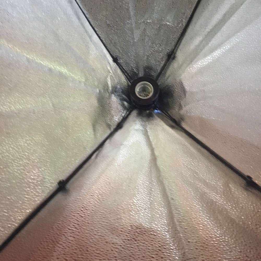 Mount Dog Soft box Lighting Set