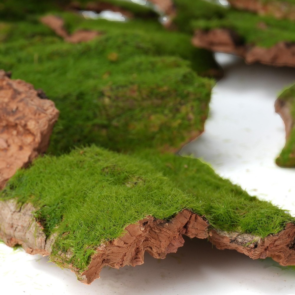 BYHER Assorted Artificial Moss Bark, Decorative Mossy Realistic Green - 100gr