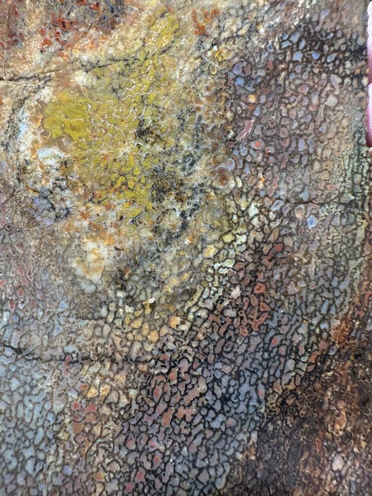 Dinosaur bone rough **hxtled slab.