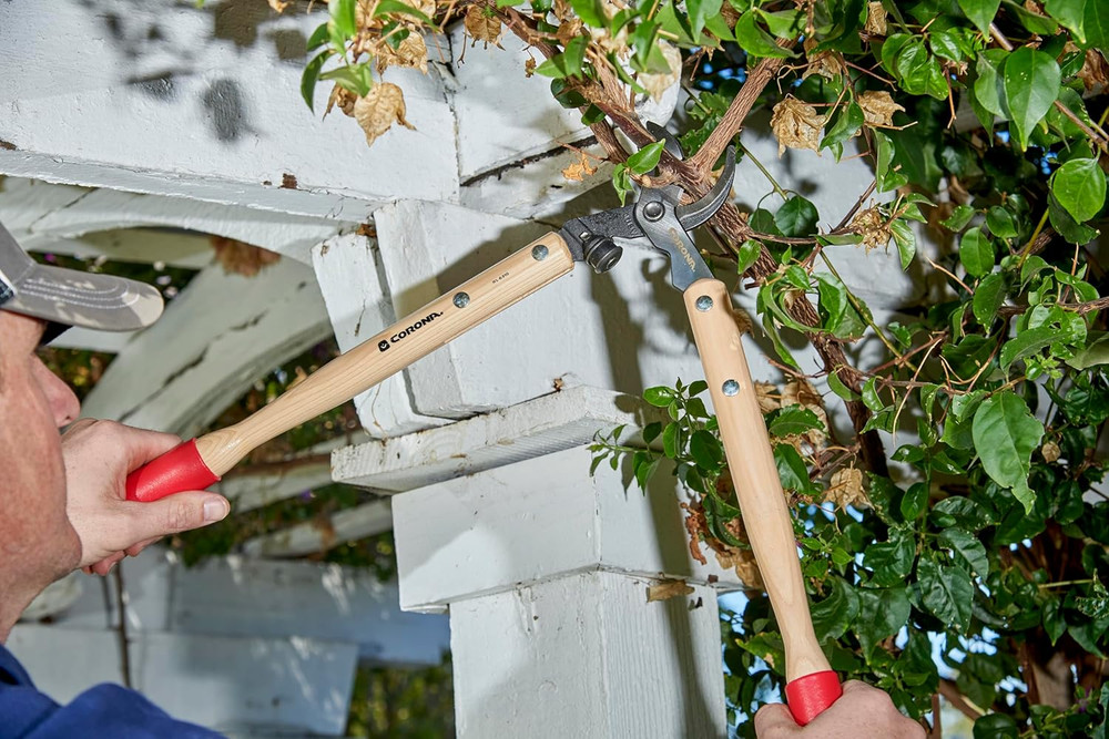 WL 6310 Classiccut Bypass Vine Lopper, 20-Inch