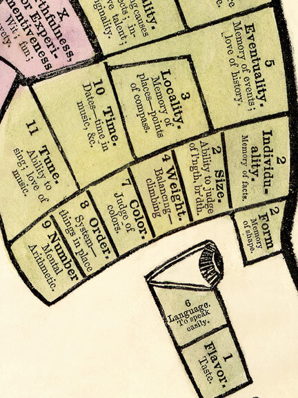 1857 Phrenological Head Chart - Unusual Medical Poster - 24x30