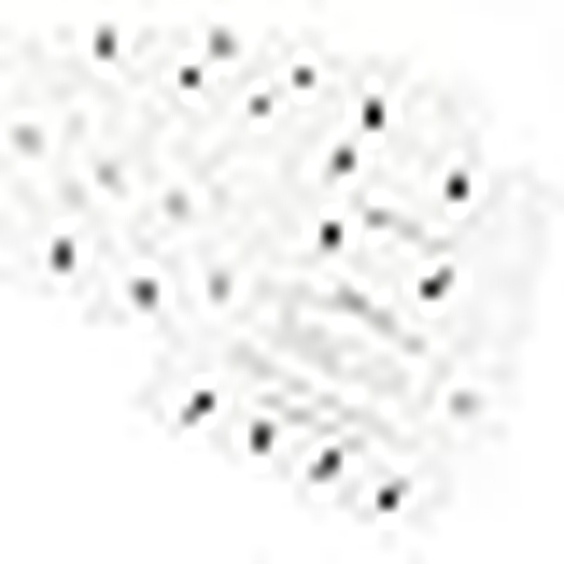 Shredder Lubricant Sheets 5 Pack Clean Sharpens Blades Optimal Performance New