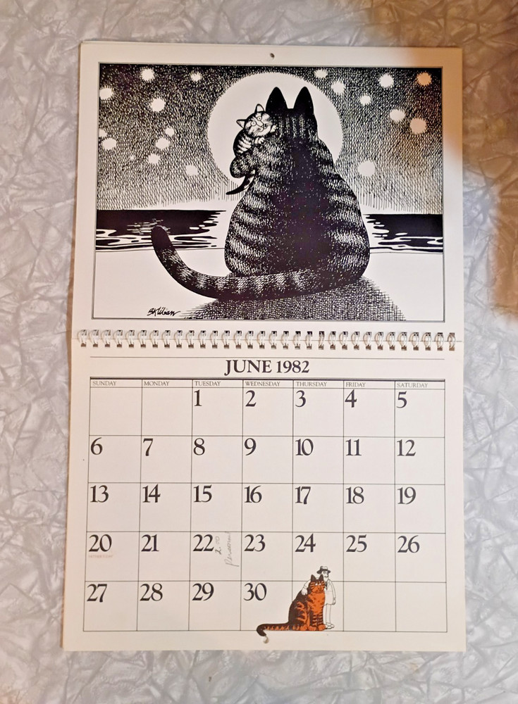 Vintage Cat Calendar B Kliban 1982 *Incomplete* Missing July