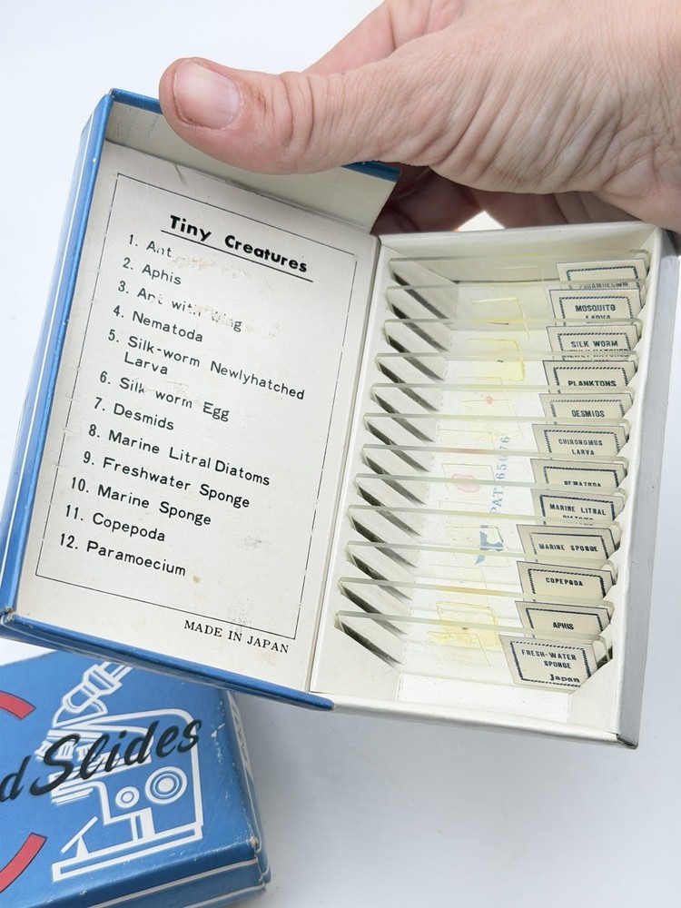 Vintage Gilbert Microscope w/ 3 Prepared Slide Sets Blood Bacteria Tiny Creature