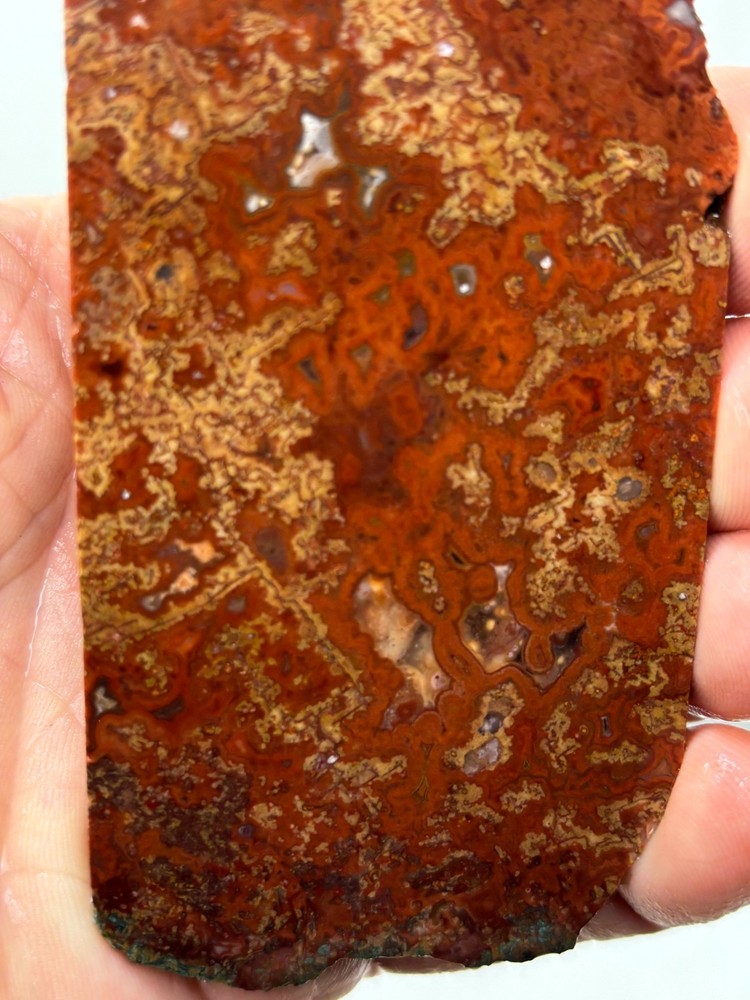 Mexican Red Moss Agate Slab Lapidary Cabbing Combo Ship Avail